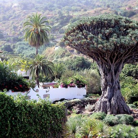 Апартаменти El Rincon With Teide View III Ікод-де-лос-Вінос Екстер'єр фото