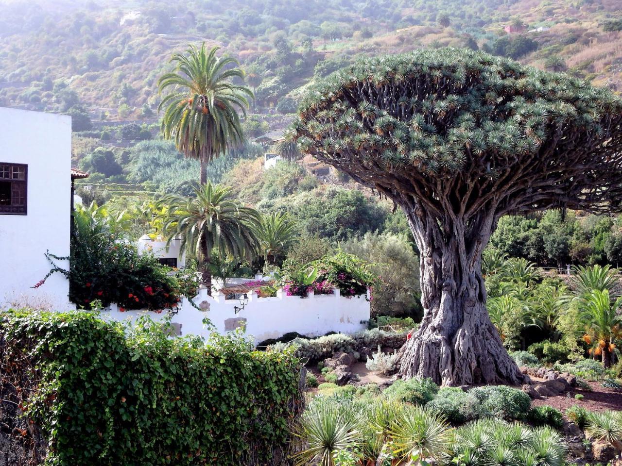Апартаменти El Rincon With Teide View III Ікод-де-лос-Вінос Екстер'єр фото